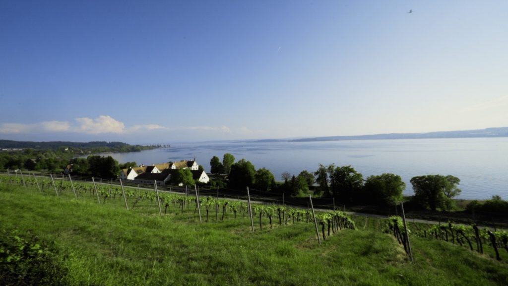 Bodensee vor der Birnau